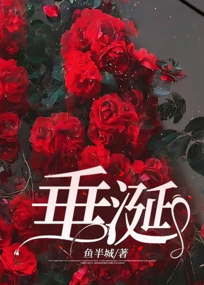 苏清婉夜寻讲了什么